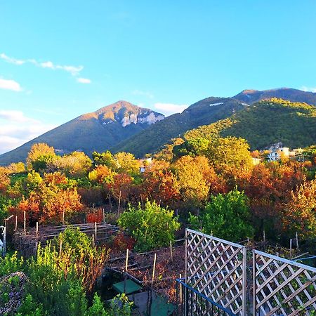 Casa Fifina Rooms Sant'Egidio del Monte Albino Eksteriør bilde